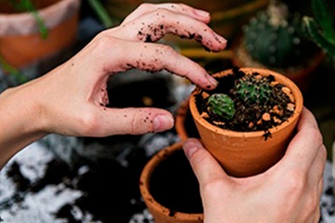 Utilize para ver mais