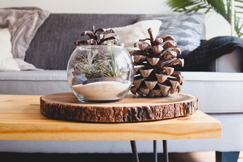 Utilice para ver más