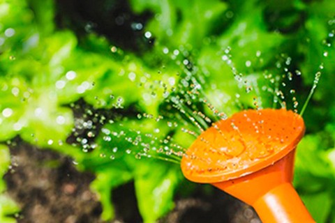 Utilize para ver mais