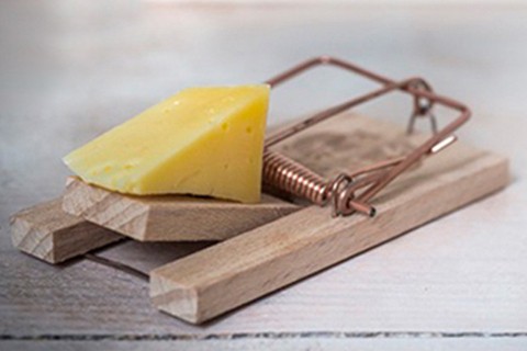 Utilize para ver mais