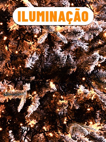 Utilice para ver más