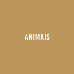 ANIMAIS_1