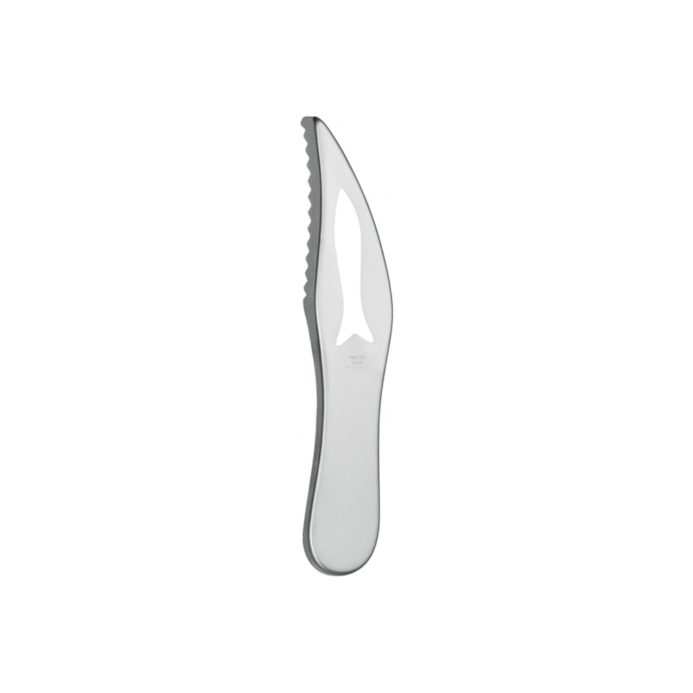 Escamador Peixe Nicul 19cm