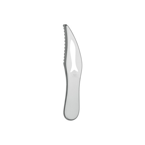 Escamador Peixe Nicul 19cm - Image product