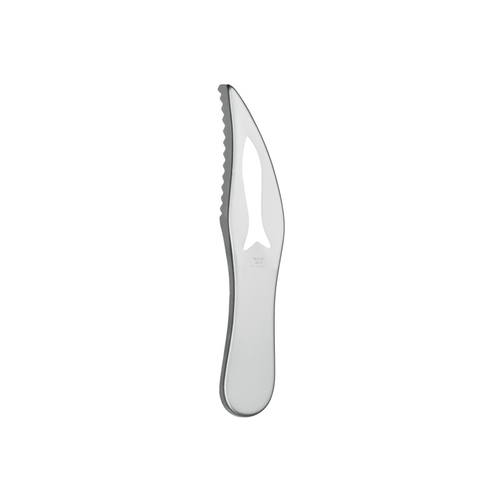 Escamador Peixe Nicul 19cm