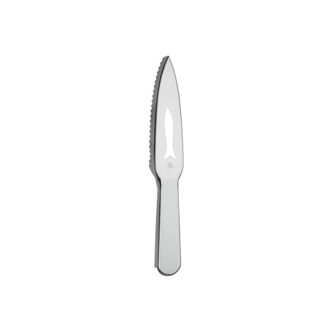 Escamador Peixe Nicul 28cm - Image product