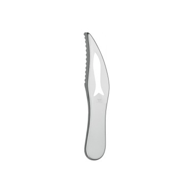 Escamador Peixe Nicul 19cm
