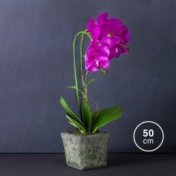 Vaso Orquídea 50cm