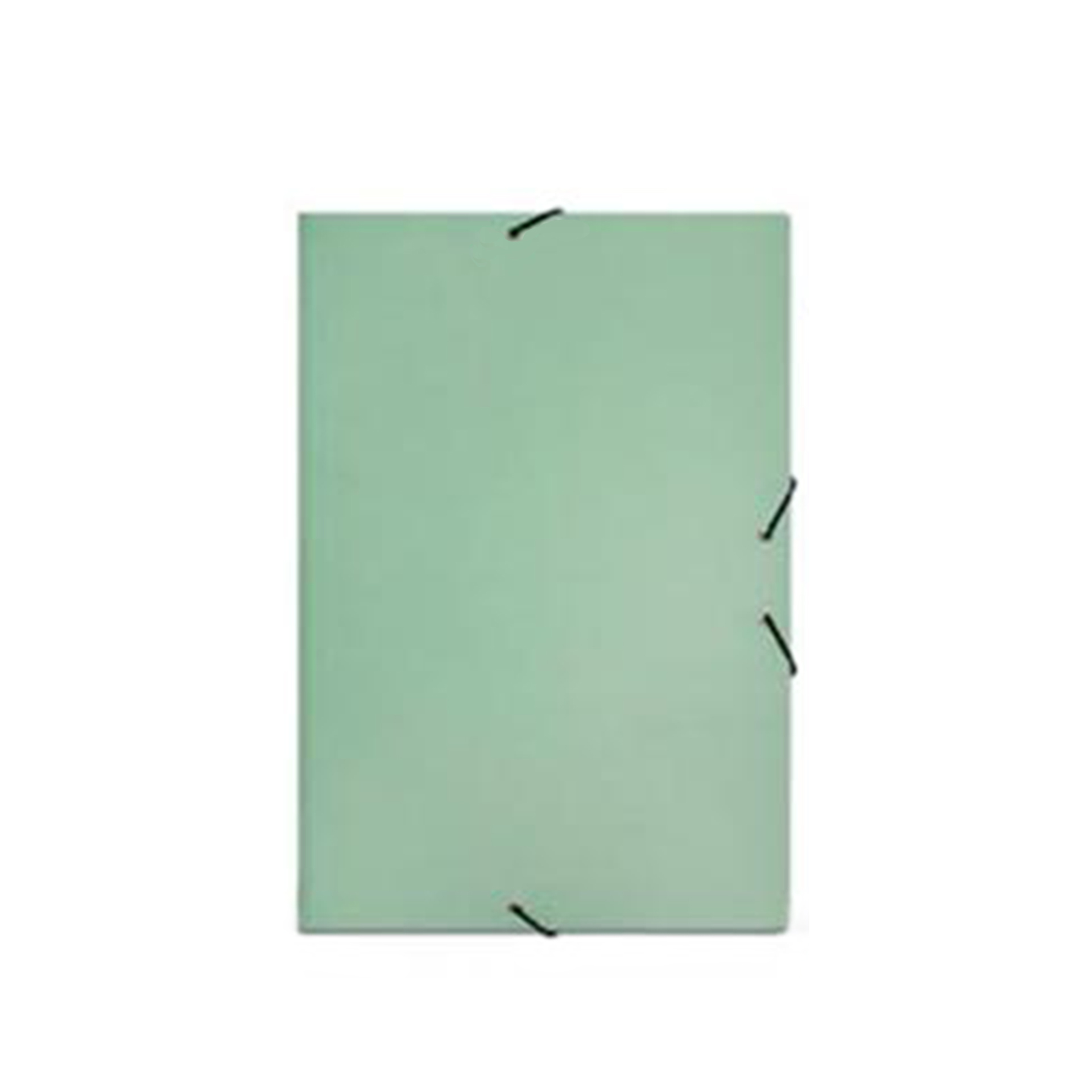 Pasta com Palas Elásticos Almaço A4