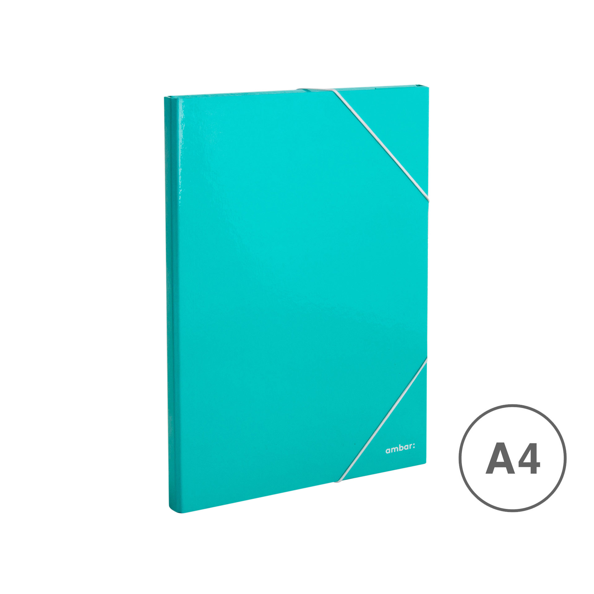 AMBAR SCHOOL CAIXA PROJECTOS 20MM A4