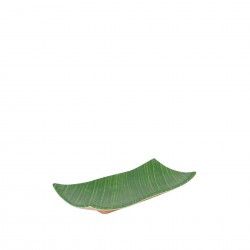 Bandeja Musacea Retangular Verde 20X10X3.5cm