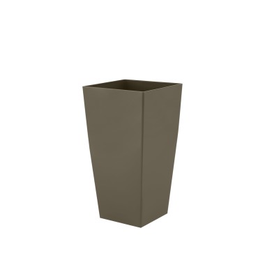 Vaso Pisa