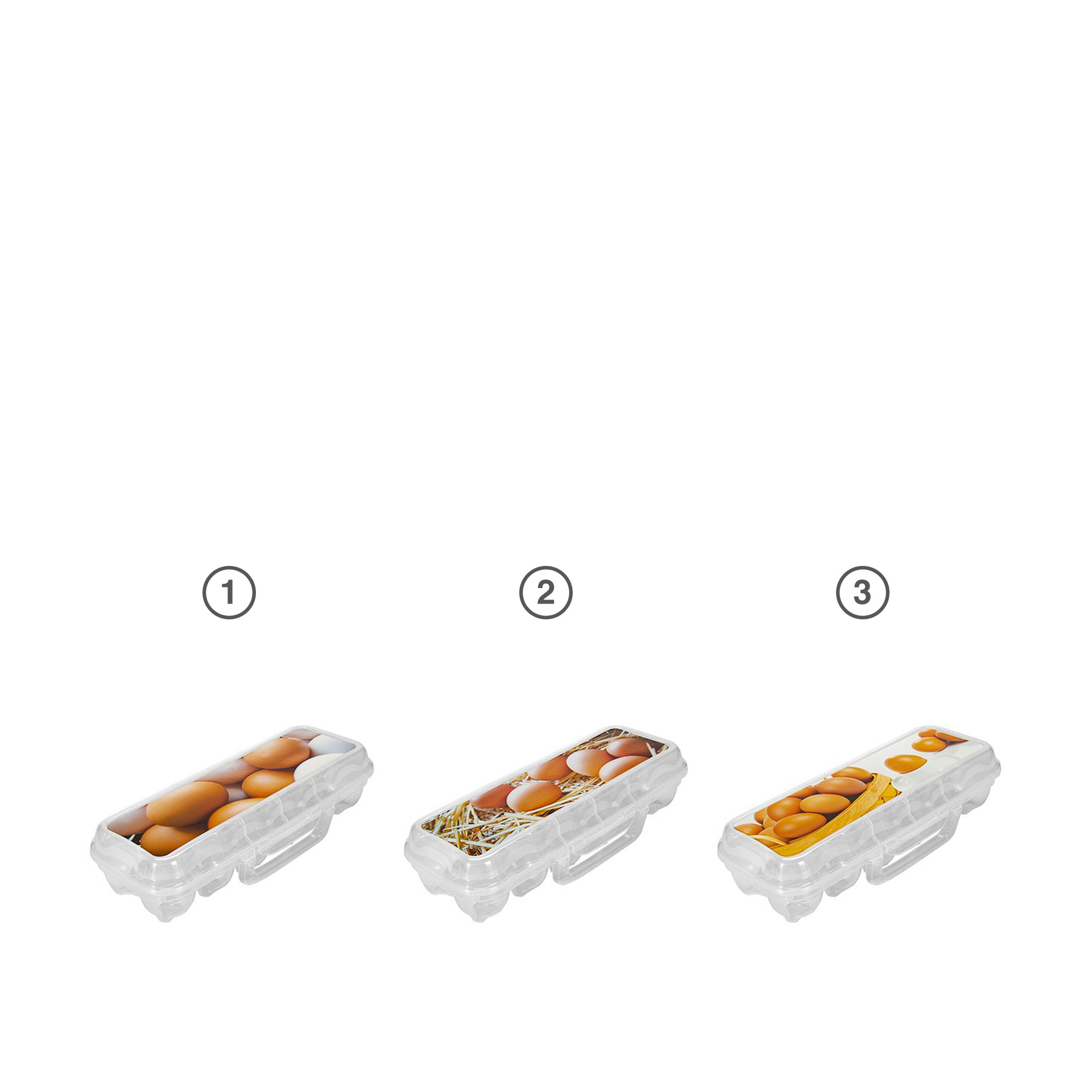 Caixa para 12 Ovos Plástico Incolor 30X15.7X7cm