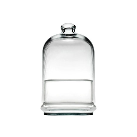 Queijeira Vidro Pâtisserie Midi 10X19.6CM - Image product