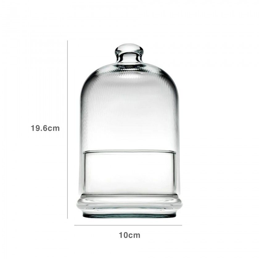 Queijeira Vidro Ptisserie Midi 10X19.6CM