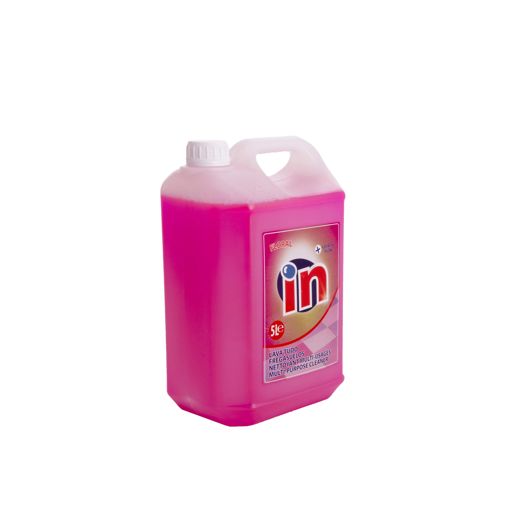 Lava Tudo Multiusos In 5L