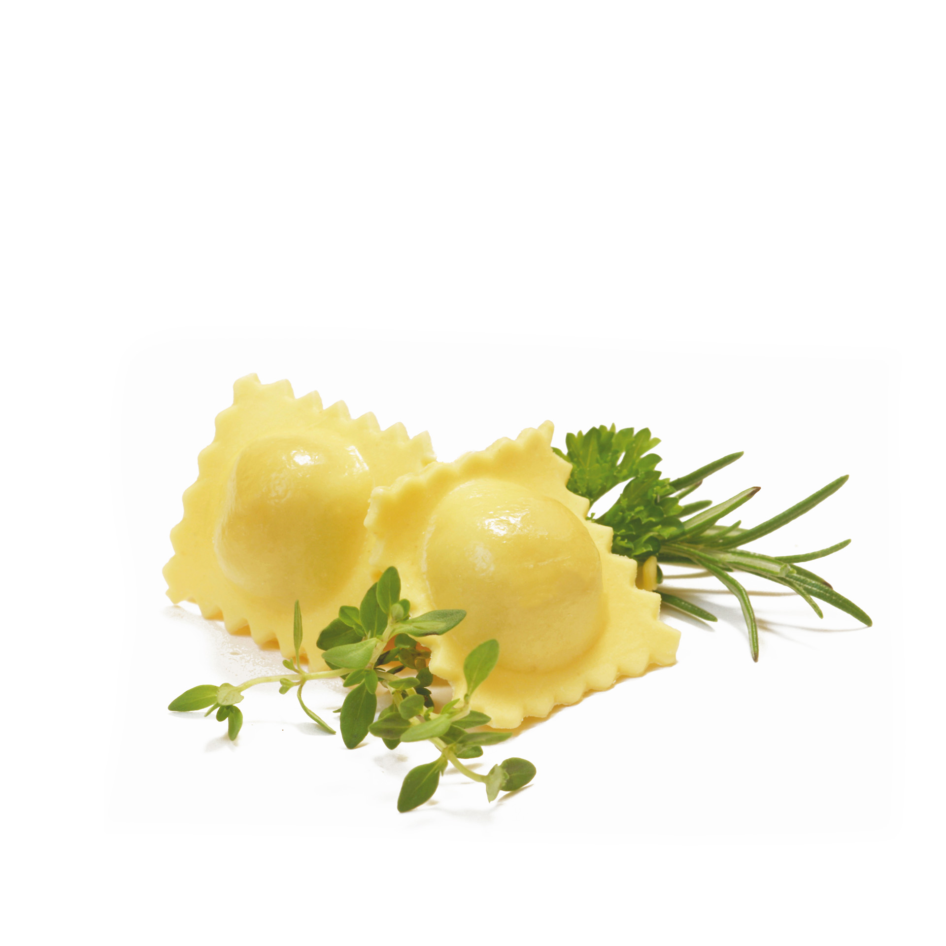 Máquina Corta Ravioli 16X8cm