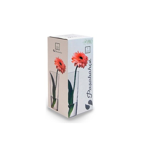 Jarra Vidro Flora Cónica 26cm - Image product