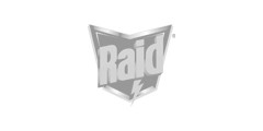 Raid Raid