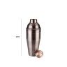 Shaker Classic Cobre 700ml 9X23cm