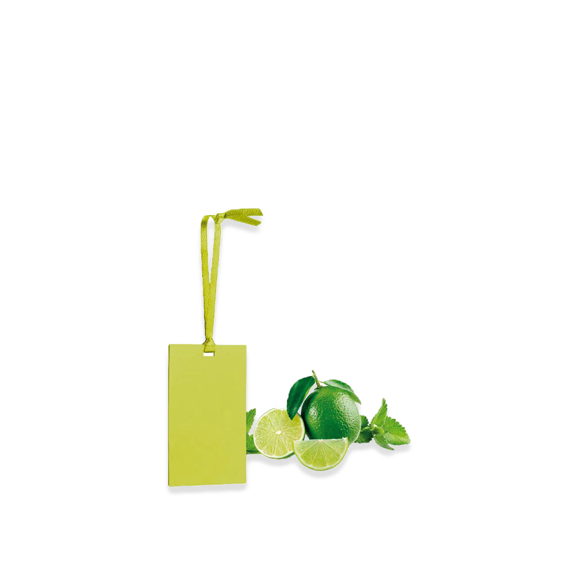 Cartão Perfumado Fancy Home Mojito