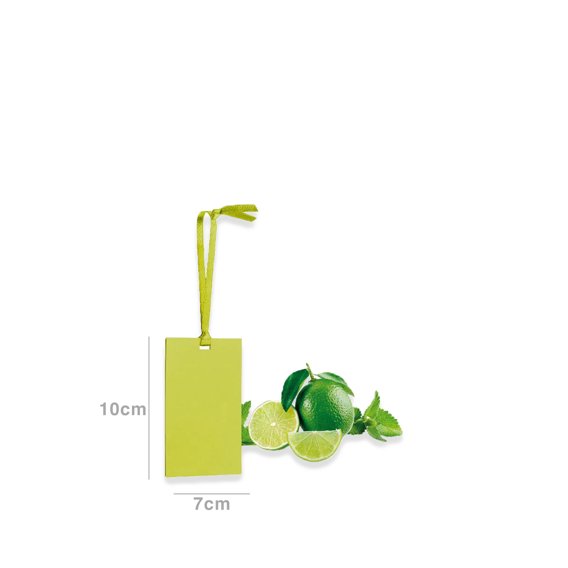 Cartão Perfumado Fancy Home Mojito