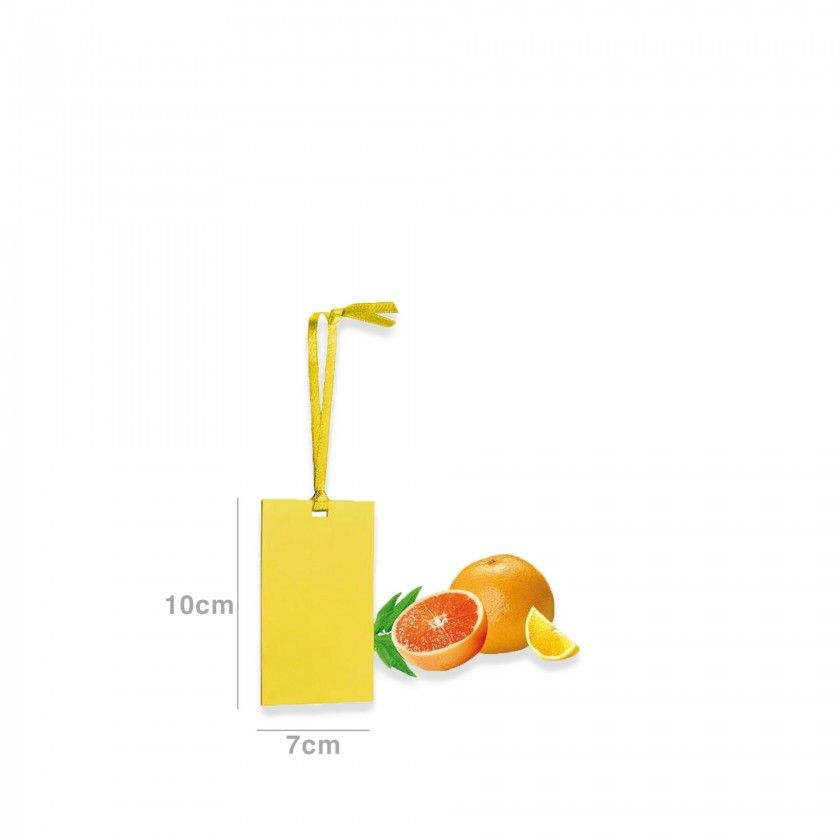 Cartão Perfumado Fancy Home Verbena Cartão Perfumado Fancy Home Verbena