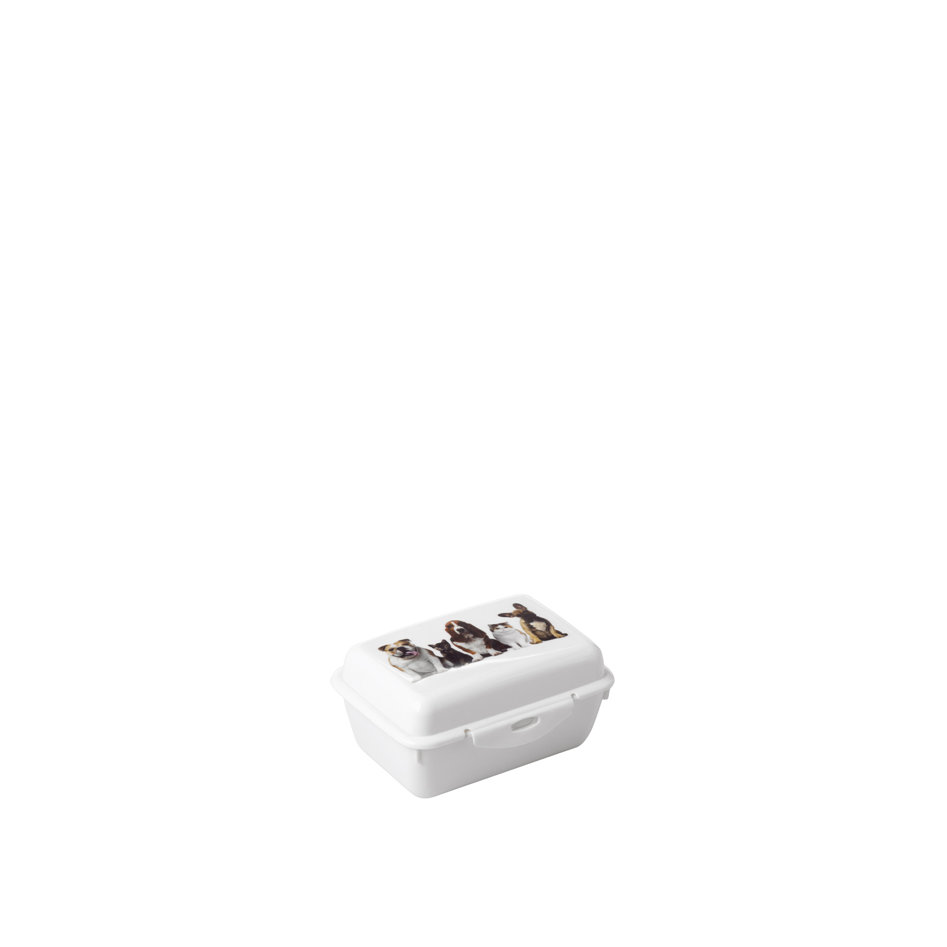 Caixa Plástico Multihobby Animal Multicor 11X8X5cm