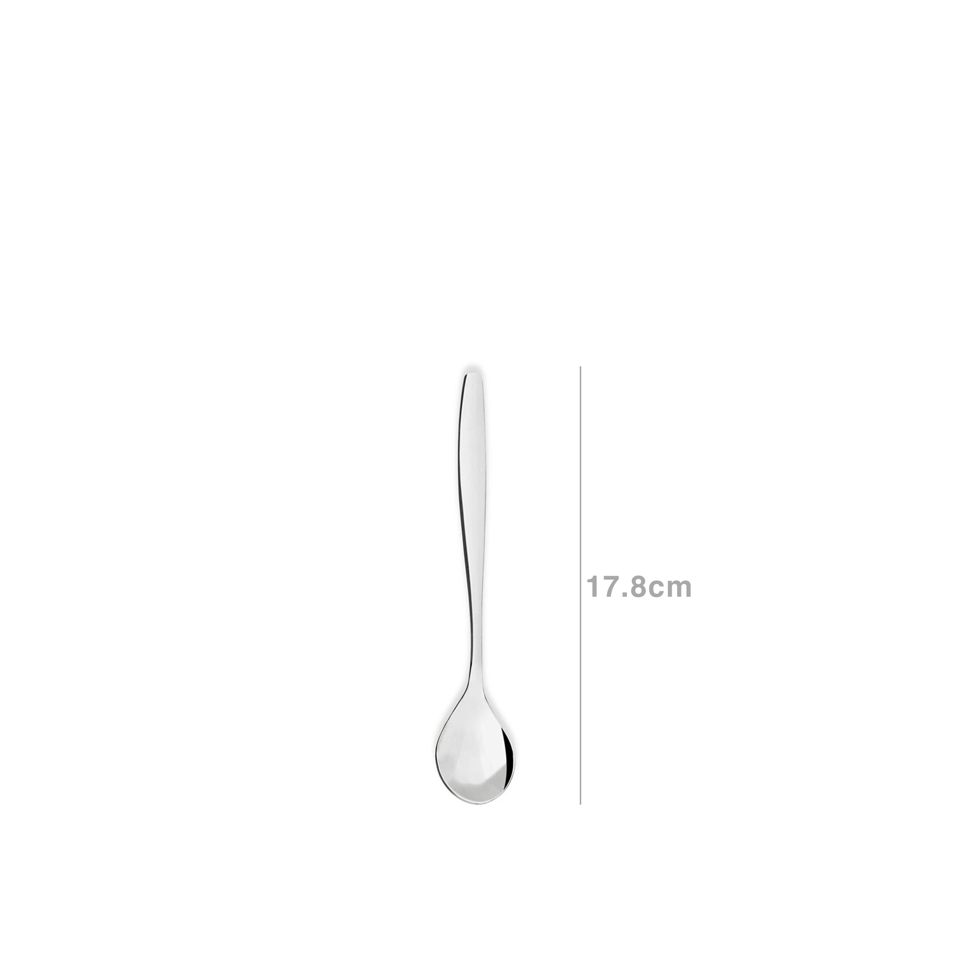 Concha Venus Açucar 17.8CM