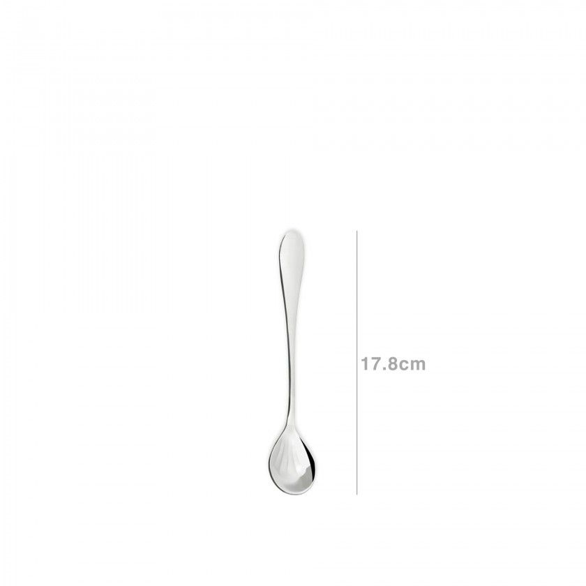 Concha Marte Açucar 17.8CM Concha Marte Açucar 17.8CM