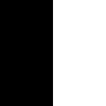 Blanco negro