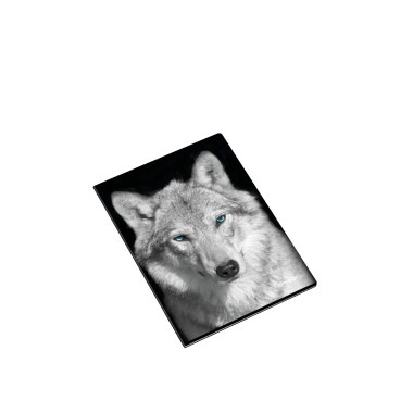 Caderno Agrafado School Wild Animal 90gr A4 48 Folhas Pautado
