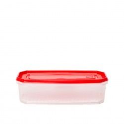 Caixa Hermtica Ding Retangular com Rede 5500ml 35.5X17X11.5cm