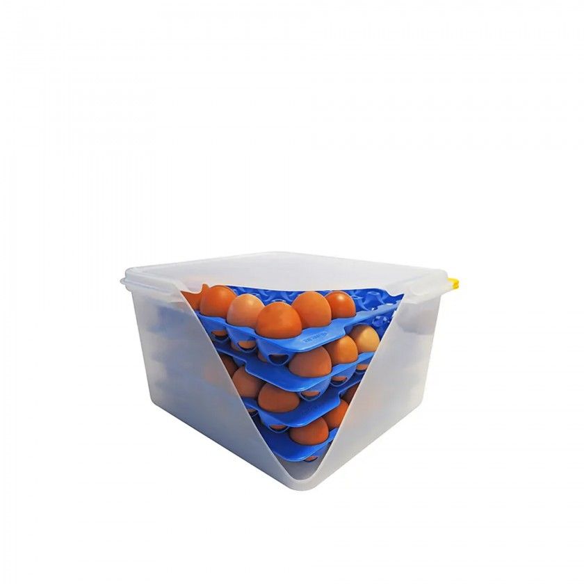Caixa Hermética Porta Ovos Gn2/3 4 Bandejas 9L 35.4X32.5X20cm Caixa Hermética Porta Ovos Gn2/3 4 Bandejas 9L 35.4X32.5X20cm