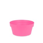 Rosa Fuchsia Rosa Fuchsia