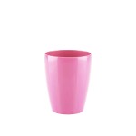 Rosa Fuchsia Rosa Fuchsia