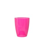 Fuchsia Transparente Fuchsia Transparente