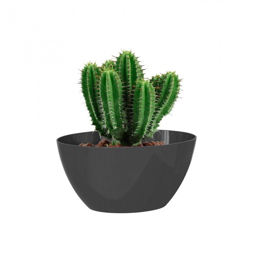 Floreira Bahia 35X17X13cm 4L Antracite Floreira Bahia 35X17X13cm 4L Antracite