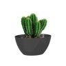 Floreira Bahia 35X17X13cm 4L Antracite Floreira Bahia 35X17X13cm 4L Antracite