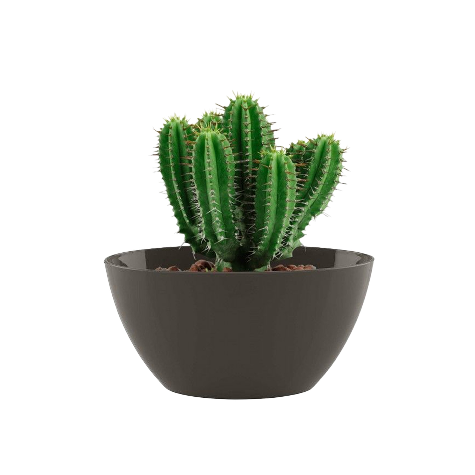 Floreira Bahia 35X17X13cm 4L Tortora Mate