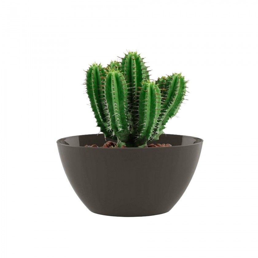 Floreira Bahia 35X17X13cm 4L Tortora Mate Floreira Bahia 35X17X13cm 4L Tortora Mate