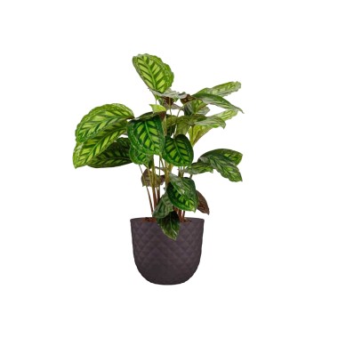 Vaso Havana Tropical �30X24.9cm 13.5L Cinza Lama