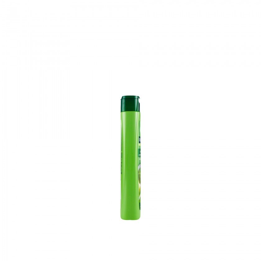 Champô Palmolive Aloe Vera / Seda 350ml Champô Palmolive Aloe Vera / Seda 350ml