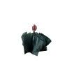 Guarda Chuva Manual Mini 8 Varetas 23cm Guarda Chuva Manual Mini 8 Varetas 23cm