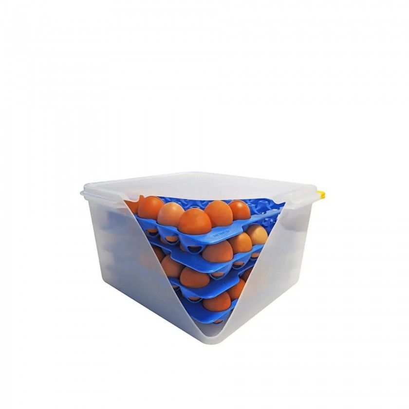 Bandeja Porta Ovos Gn2/3 Azul 29X29X4cm Pack 4 Bandeja Porta Ovos Gn2/3 Azul 29X29X4cm Pack 4