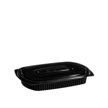 Caixa Take Away 1.04l 26X18.5X4cm Pack 102
