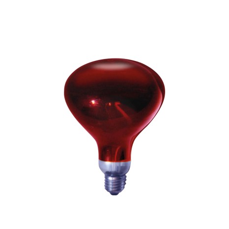 L�mpada Infravermelhos E27 250W 11.5X16cm - Image product