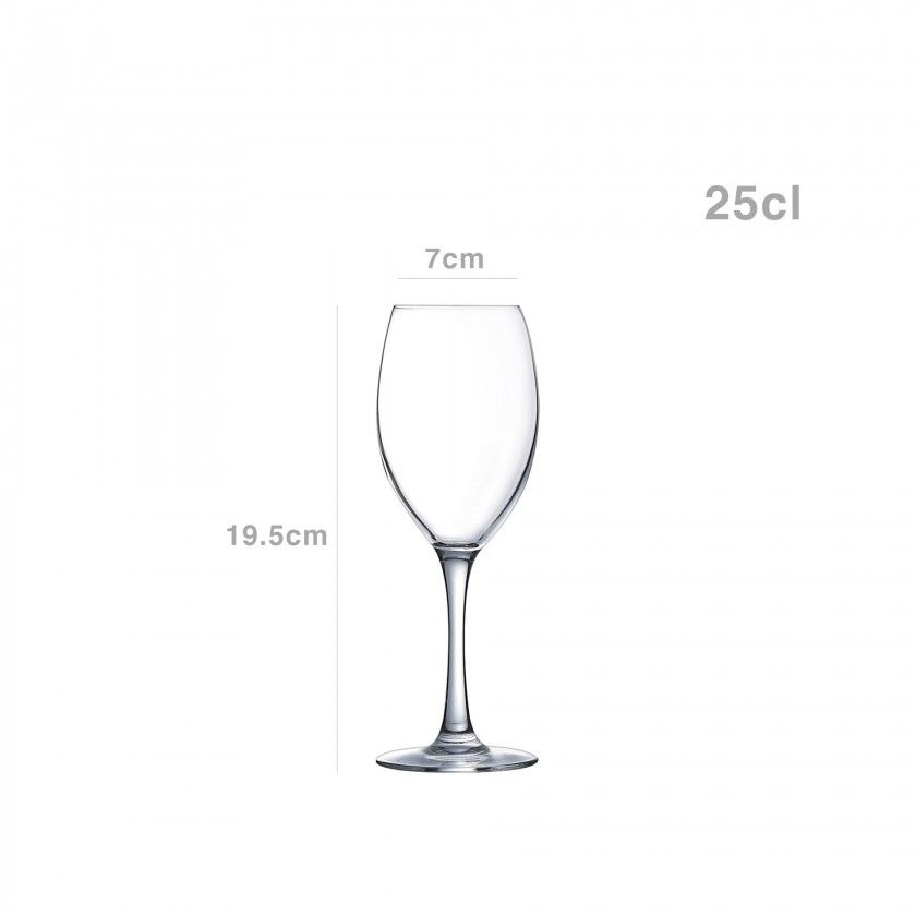 Copo com P Malea 25cl Pack 6