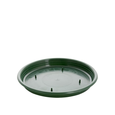 Tabuleiro para Esponja Redondo Verde 22X2cm - Image product