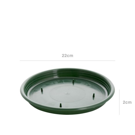 Tabuleiro para Esponja Redondo Verde 22X2cm - Image product